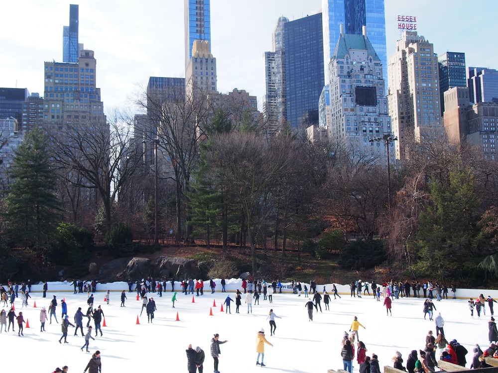 natale a new york