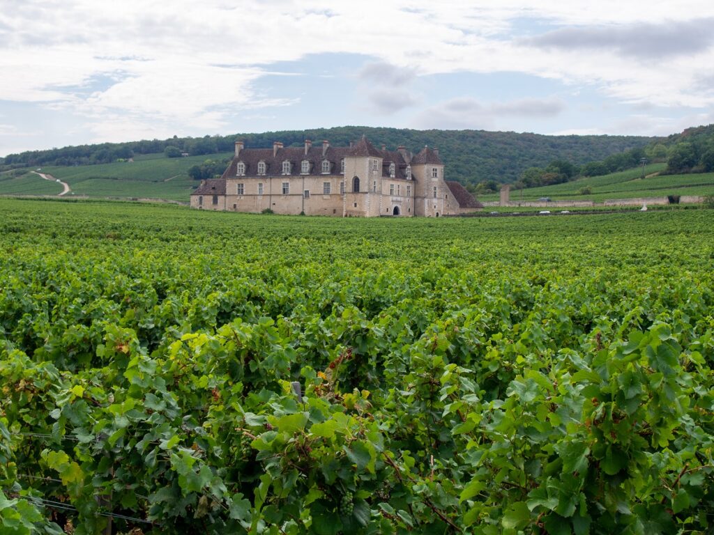 borgogna route des grands crus