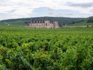 borgogna route des grands crus