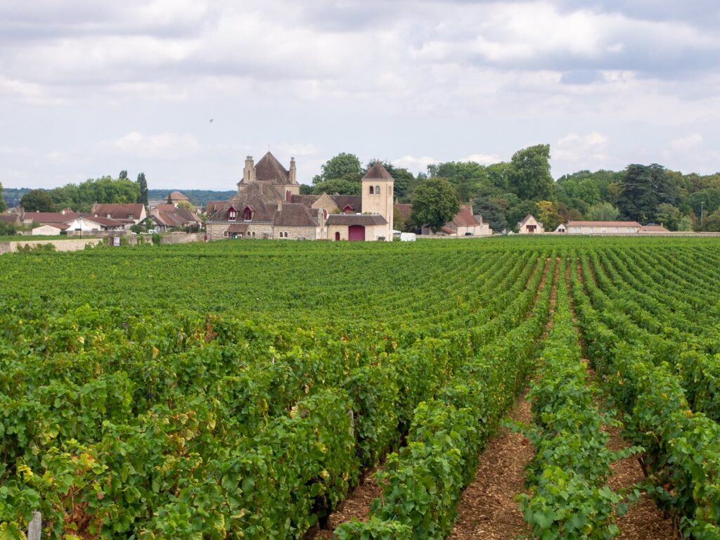 Borgona route des grands crus