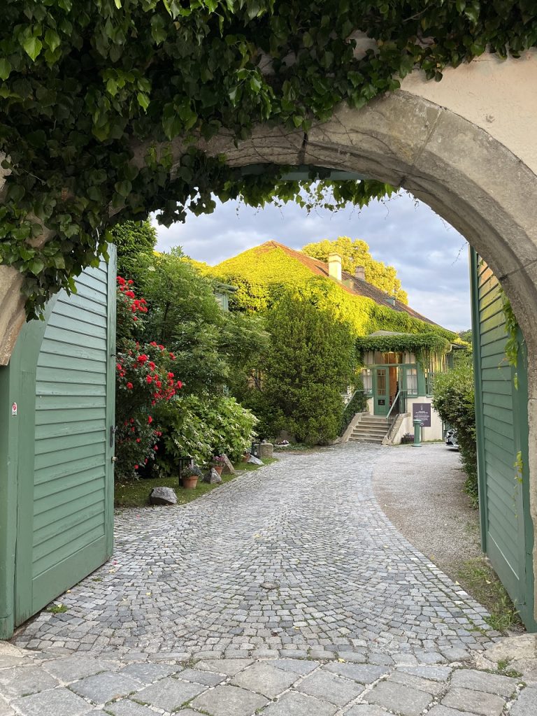 15 posti dove mangiare a Vienna