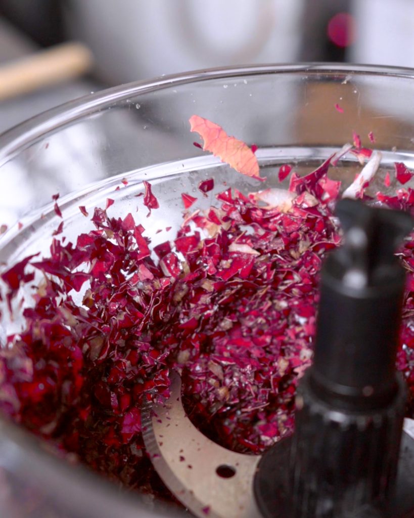 cannelloni radicchio e noci