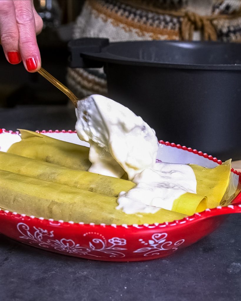 cannelloni radicchio e noci