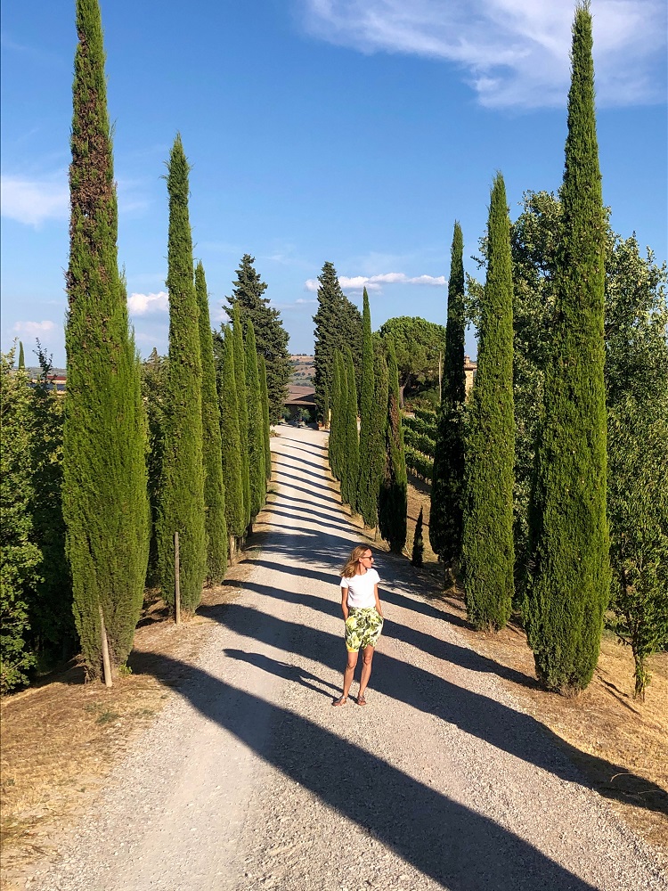 toscana cipressi