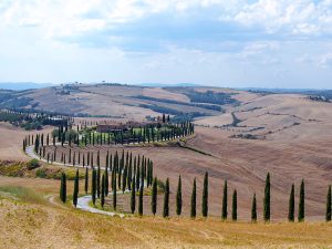 Crete Senesi