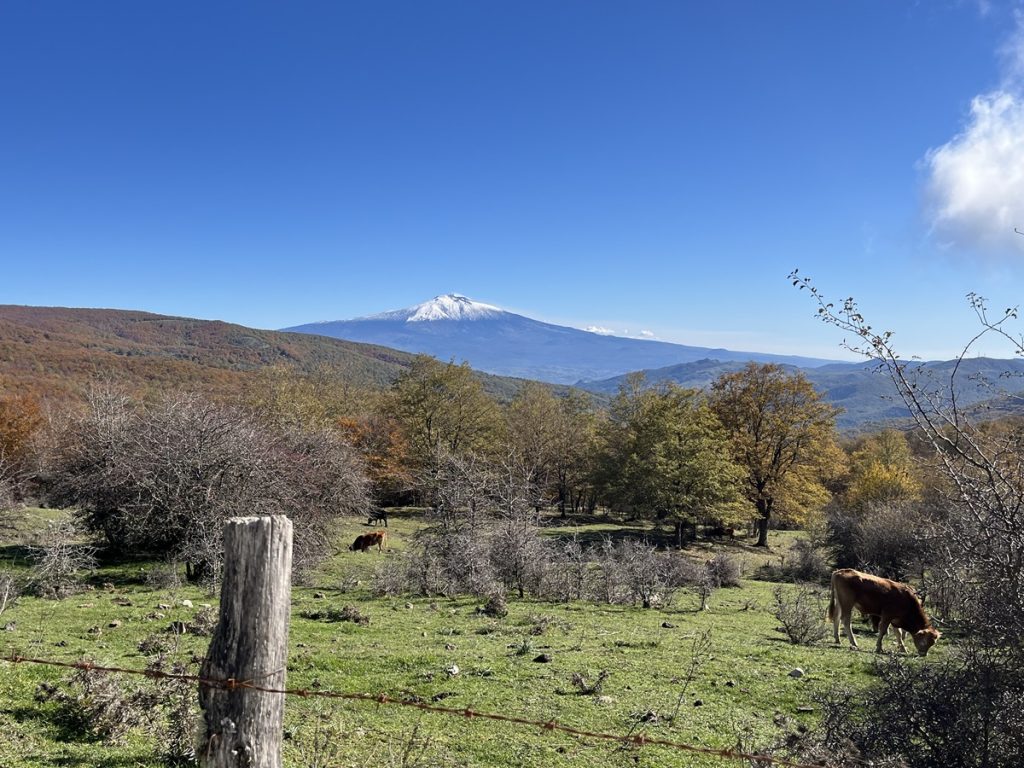 4 giorni in Sicilia alla scoperta dei sapori dei Nebrodi