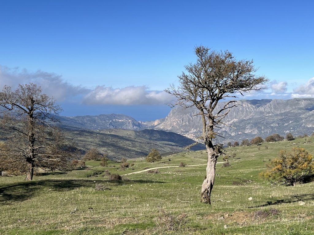 4 giorni in Sicilia alla scoperta dei sapori dei Nebrodi