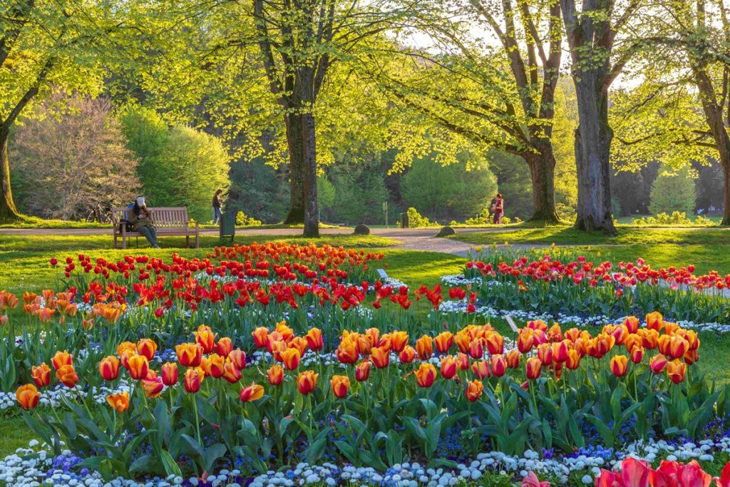 Baden-Baden: vivere la primavera nella perla termale della Foresta Nera