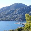 Route du Mimosa: l road trip più profumato di Francia, 130 km di mimose, mare e villaggi provenzali