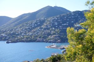 Route du Mimosa: l road trip più profumato di Francia, 130 km di mimose, mare e villaggi provenzali
