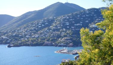 Route du Mimosa: l road trip più profumato di Francia, 130 km di mimose, mare e villaggi provenzali