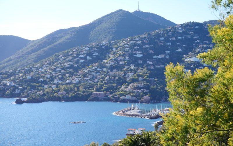 Route du Mimosa: l road trip più profumato di Francia, 130 km di mimose, mare e villaggi provenzali