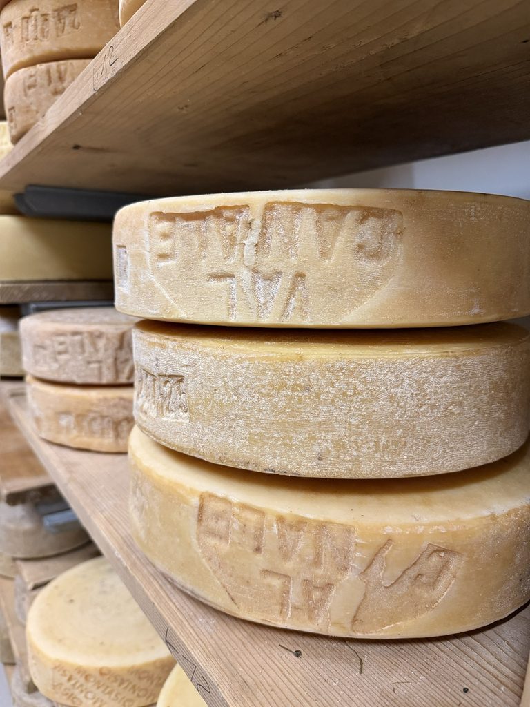 Alpi Giulie, viaggio autentico nella cucina di confine