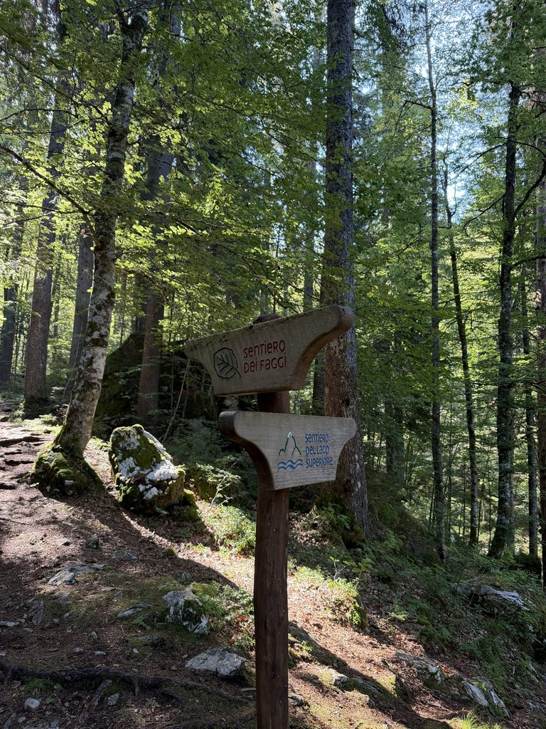 6 giorni nelle Alpi Giulie tra Carnia, Val Resia e Val Canale