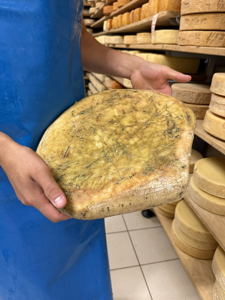 Alpi Giulie, viaggio autentico nella cucina di confine