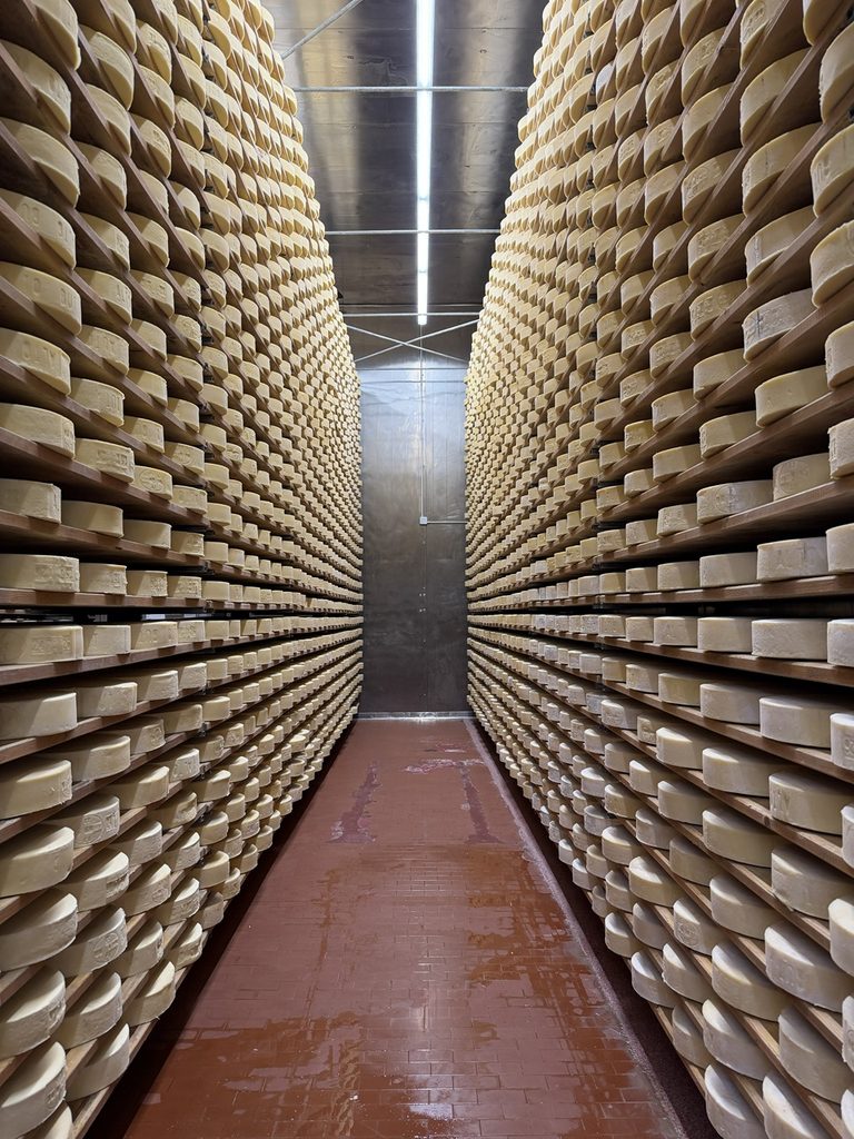 Alpi Giulie, viaggio autentico nella cucina di confine