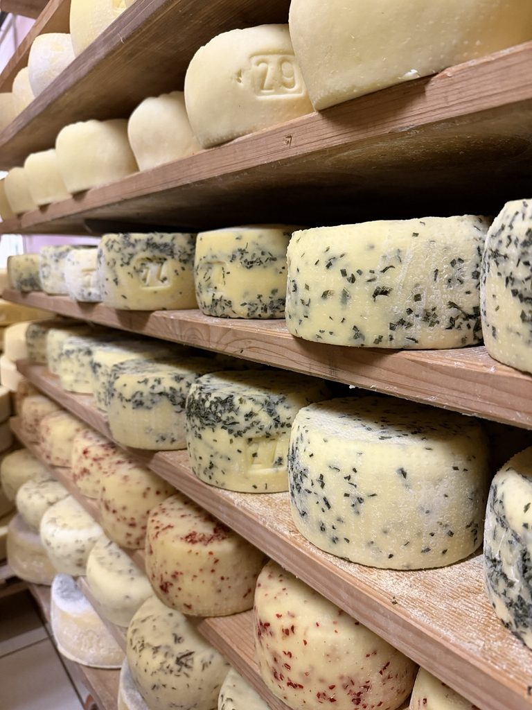 Alpi Giulie, viaggio autentico nella cucina di confine